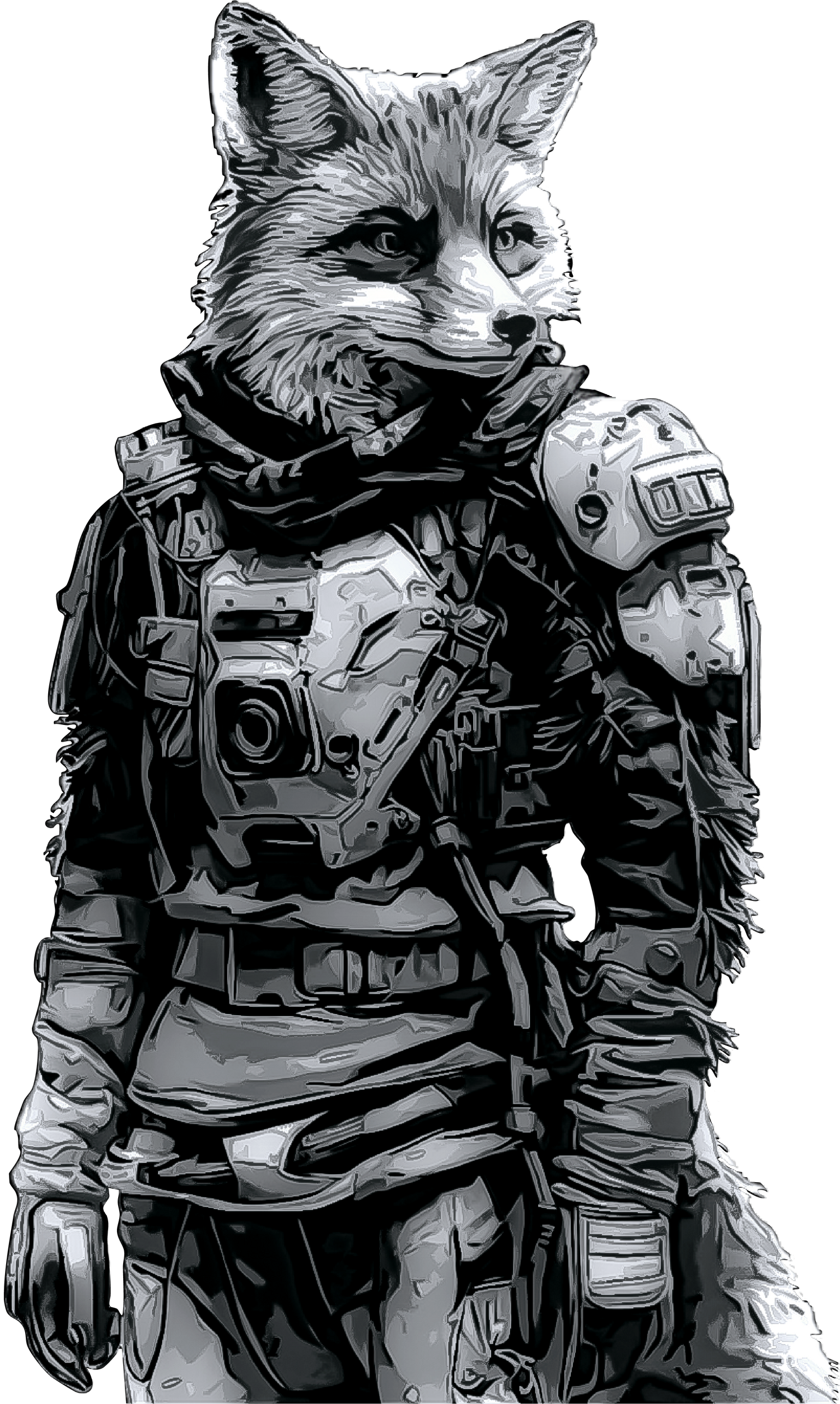 MR FOX
